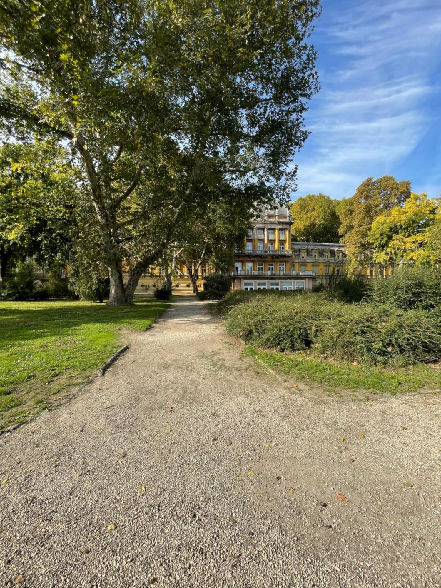 Margaret Apartment Next To The Lukacs Spa With Panorama Danube Budapest Exterior foto
